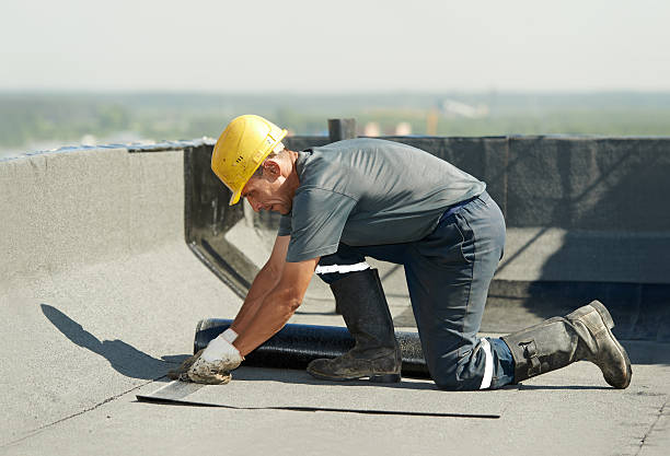 Best Insulation Maintenance and Repair in South Blooming Grove, NY